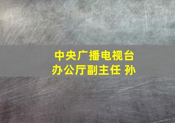 中央广播电视台办公厅副主任 孙